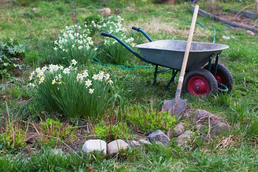 Shovel and the cart on a garden site with flowers