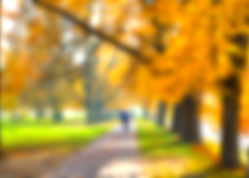 Abstract blur city park bokeh background