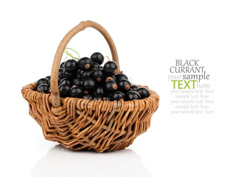 basket with black currant berries over white