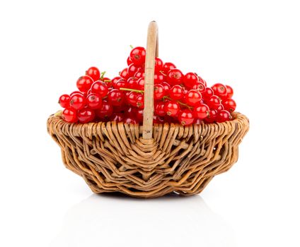 a basket of ripe juicy red currant on white background