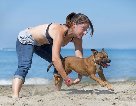 dog jumping on the beach, in France