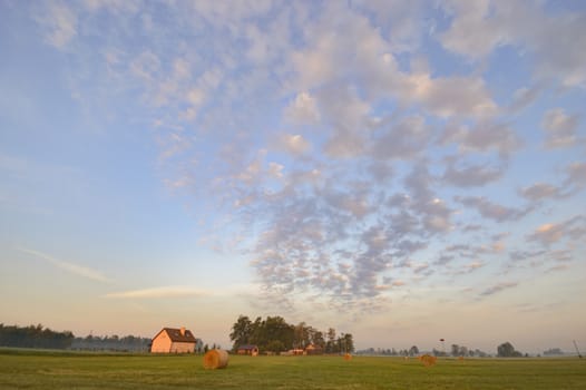 agricultural field, nature and agriculture farming series