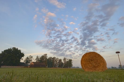 agricultural field, nature and agriculture farming series