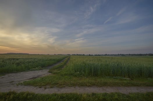 natural green colorful rural meadow, nature series