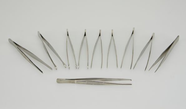 Many types of forceps were put on white background in operating room.