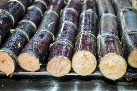 The close up of Taiwanese grilled sugarcane at food street night market in Taipei, Taiwan.