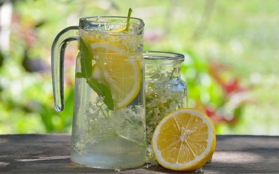 Natural elderflower juice with lemon and elder tree flowers