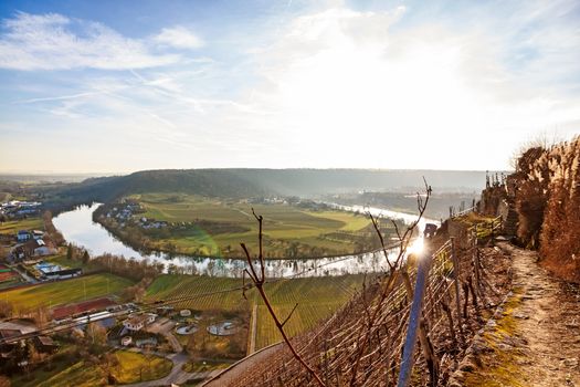 Hessigheim, Germany - December 27, 2015: Neckar loop in Hessigheim - panorama in the vineyards