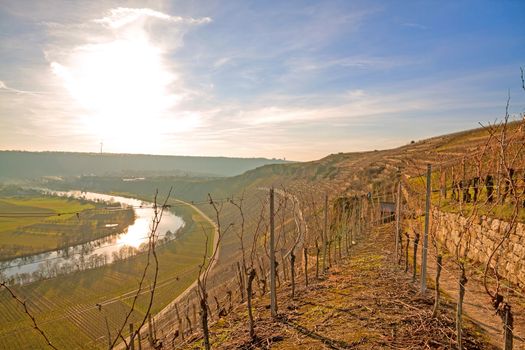 On the wine and fruit hiking trail (Wein- & Obstwanderweg Mundeslheim) in the vineyards near Hessigheim / Mundeslheim. View towards the vista "Kaesbergkanzel"