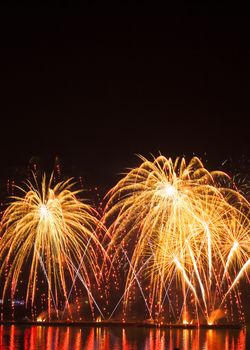 Fireworks light up the sky with dazzling display