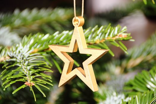 Golden metal star on christmas pine tree