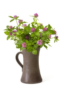 Bunch of clover in a vase