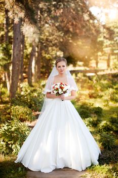 The bride in a white dress on a sunny day