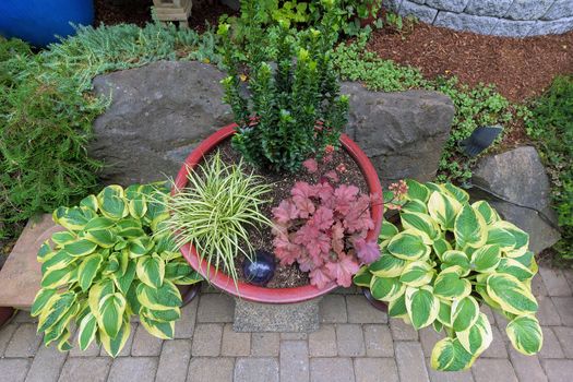 Garden Backyard colorful container pots with plants in landscaping top view
