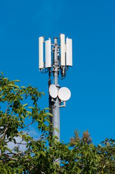 closeup of cellular antenna between trees on blue sky