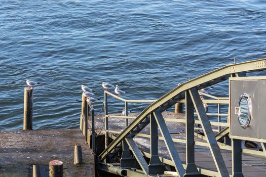 Boat landing stage on the Rhine in Duesseldorf, Germany.