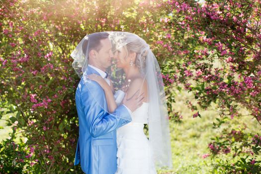 The groom gently kisses the bride on a summer day