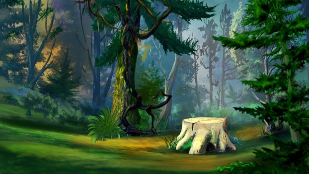 Digital Painting, Illustration of a old tree stump in the spruce forest in Realistic Cartoon Style