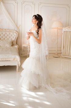 beautiful brunette bride in a luxurious wedding dress posing in interior