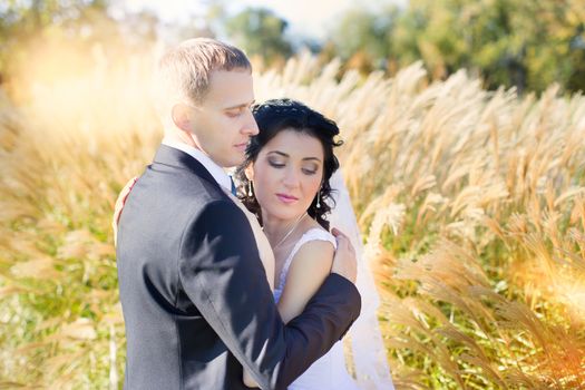 Sensual portrait of young elegant just married pair