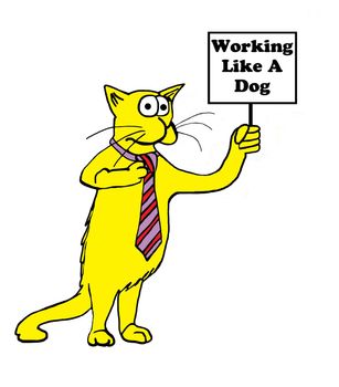 Cat holding 'Working Like A Dog' sign