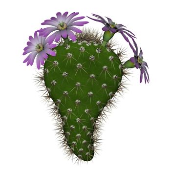 Big cactus with red flowers isolated in white background - 3D render