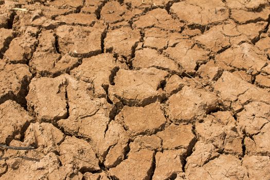 The dry cracked earth in the dried up stream bed of the pond