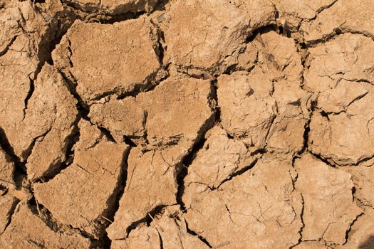 The dry cracked earth in the dried up stream bed of the pond