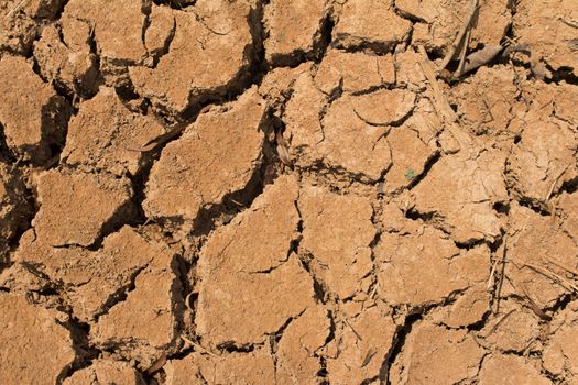 The dry cracked earth in the dried up stream bed of the pond