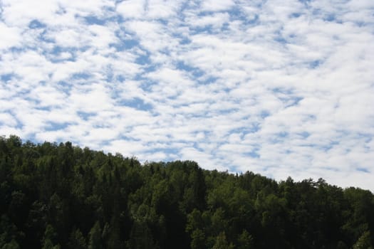 mountain forest and sky