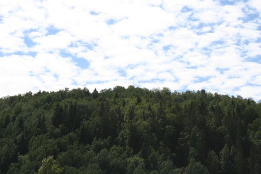 mountain forest and sky