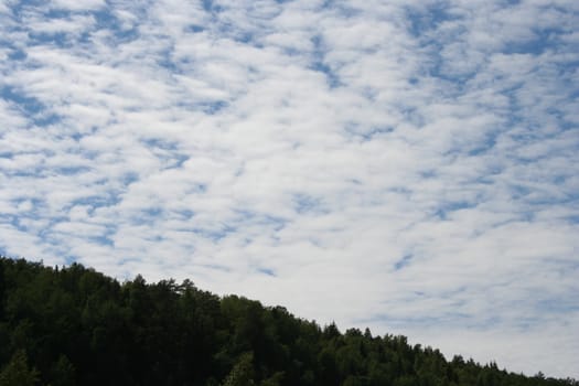 mountain forest and sky