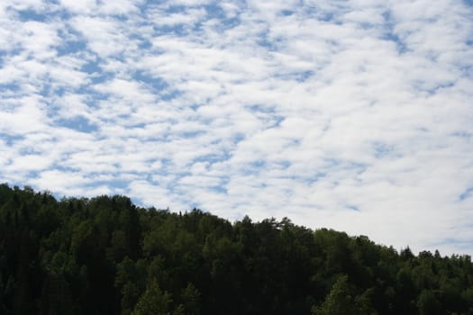 mountain forest and sky