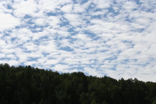 mountain forest and sky