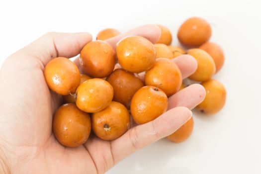 jujube or chinese date on white background