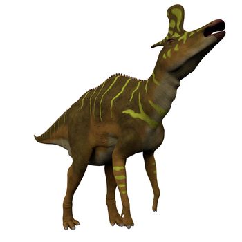 Lambeosaurus was a hadrosaur dinosaur that lived in North America during the Cretaceous Period.
