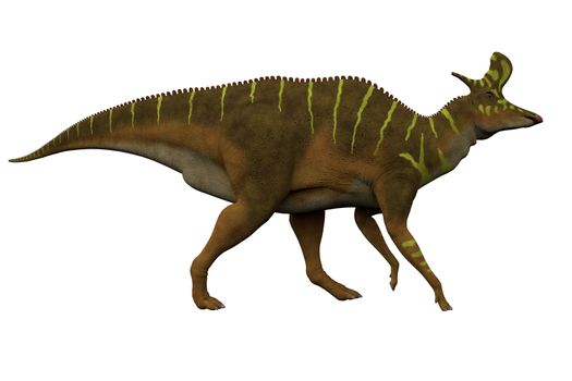 Lambeosaurus was a hadrosaur dinosaur that lived in North America in the Cretaceous Period.