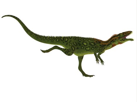 Masiakasaurus was a theropod dinosaur that lived in Madagascar during the Cretaceous period.