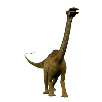 Nigersaurus was a sauropod herbivorous dinosaur that lived in the Republic of Niger, Africa during the Cretaceous Period.