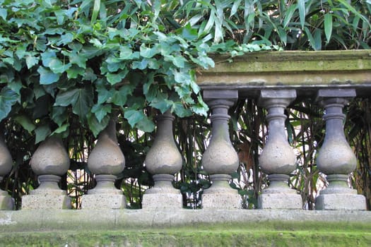 Ornamented fence of concrete with green plants