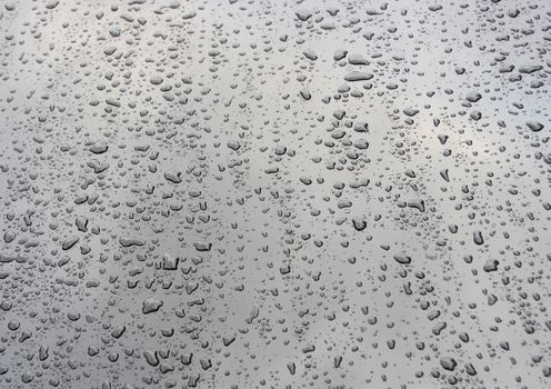 Waterdrops after rain on black cars hood