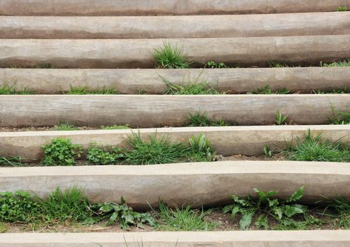 Wooden stair outside with weed between steps