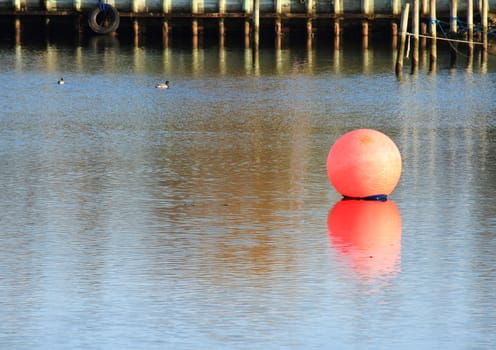 Red maritime ball marker with reflection and mole in background