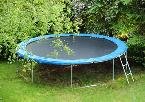 Blue trampoline on the lawn in garden