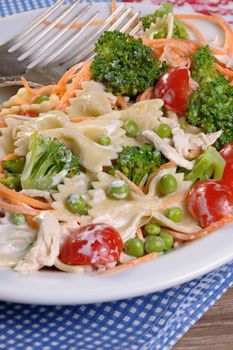 pasta salad with chicken, tomatoes, broccoli, green peas, carrots dressed with sour cream