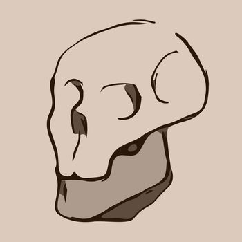 Hand Drawn Skull. Skull Illustration 