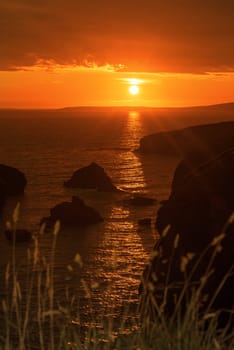 beautiful sunset over the coastal rocks with wild highl grass on the wild atlantic way