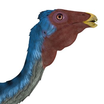 Caudipteryx was a peacock-sized oviraptor dinosaur that lived in China during the Cretaceous Period.