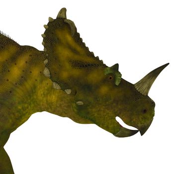 Centrosaurus was a herbivorous ceratopsian dinosaur that lived in Canada during the Cretaceous Period.