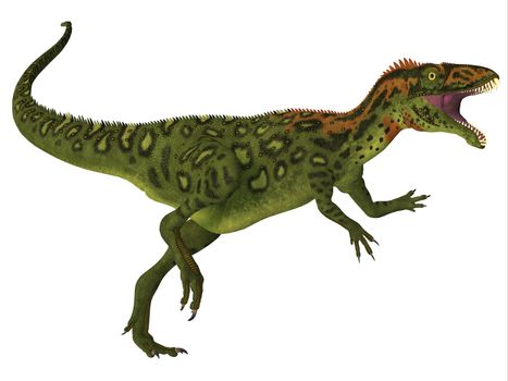 Masiakasaurus was a theropod dinosaur that lived in Madagascar during the Cretaceous period.